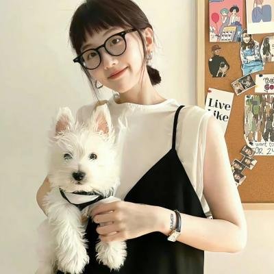 铁丝中的风